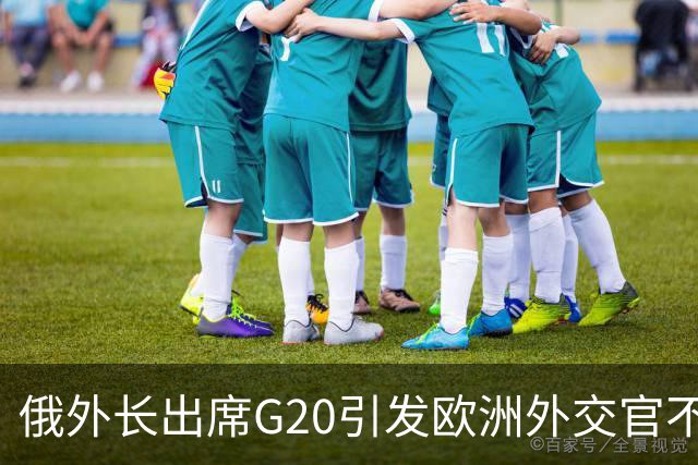 俄外长出席G20引发欧洲外交官不满，德国外长拒绝与其同框合影