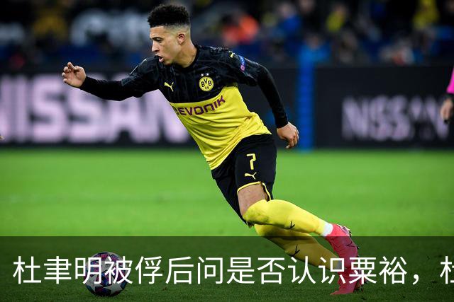 杜聿明被俘后问是否认识粟裕，杜回复：早有耳闻但未交过手！