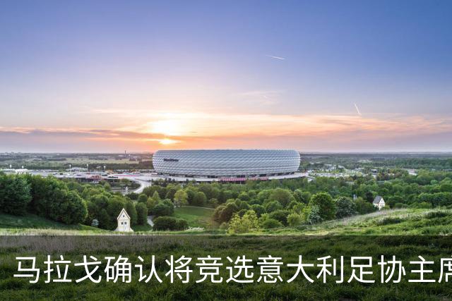 马拉戈确认将竞选意大利足协主席：需遵循程序并获得足够支持