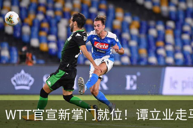 WTT官宣新掌门就位！谭立业走马上任，刘国梁回归再添悬念